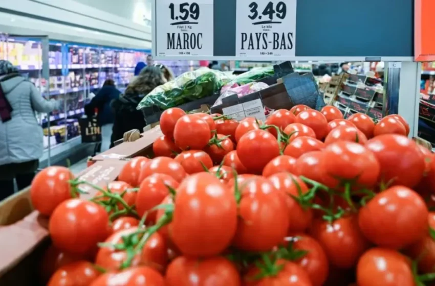  Les exportations agricoles marocaines connaissent une hausse spectaculaire, surtout vers l’Europe