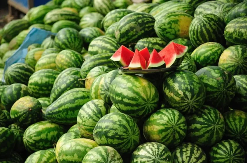  Les exportations de fruits marocains stagnent en raison de conditions climatiques défavorables