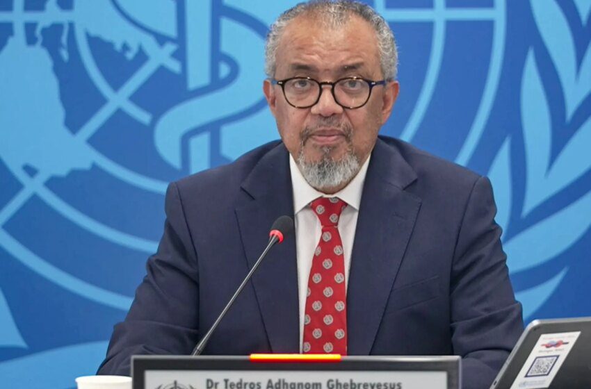  OMS signale cas d’hantavirus souche Andes et décès à bord du Hondius