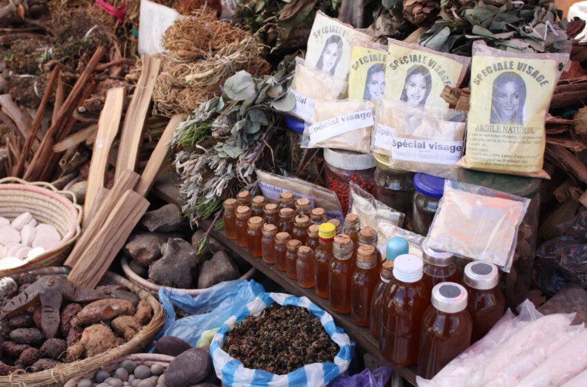  Remèdes à base de plantes en ligne menacent la santé au Nigéria