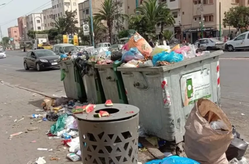  Casablanca renforce la répression pour préserver la propreté des espaces publics