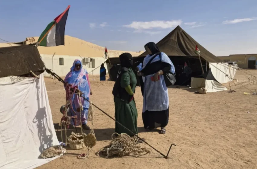  Décès de Lahbib Mohamed Abdelaziz : l’impact des drones sur le Polisario