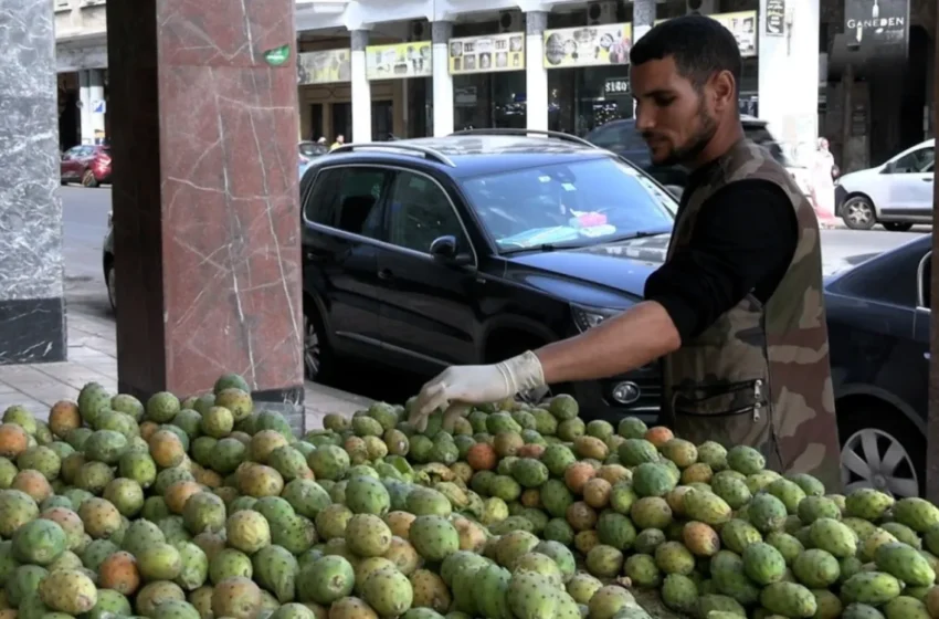  La flambée des prix de la figue de Barbarie alerte les commerçants au Maroc