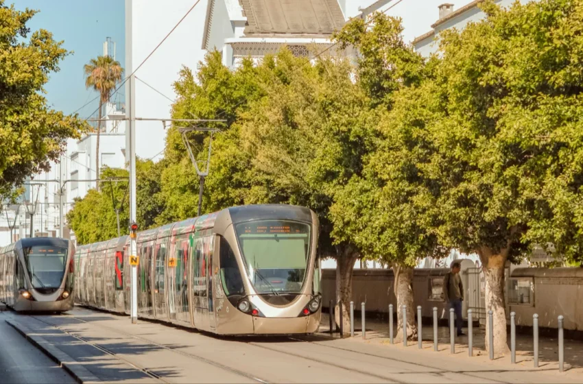  La ville intensifie la lutte contre la fraude immobilière grâce à la télédétection