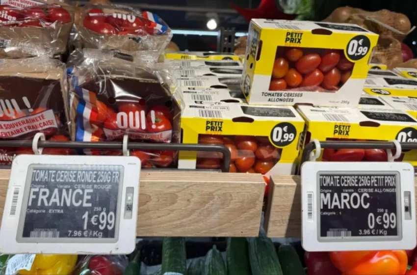  Les tomates marocaines, une solution économique face à la crise de pouvoir d’achat en France