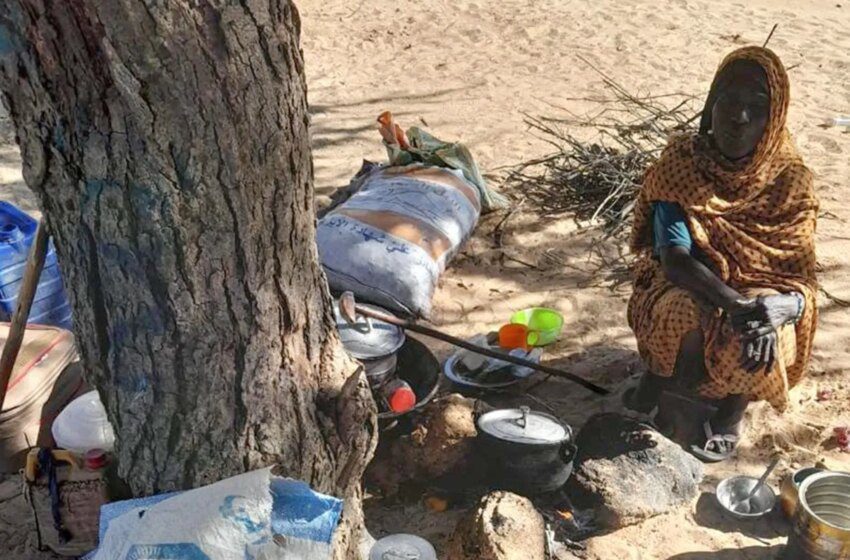  Orchi incendiée par les RSF, milliers de déplacés du Darfour au Tchad