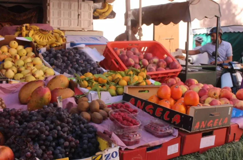  Récoltes massives de tomates et poivrons : une baisse temporaire des prix au Maroc