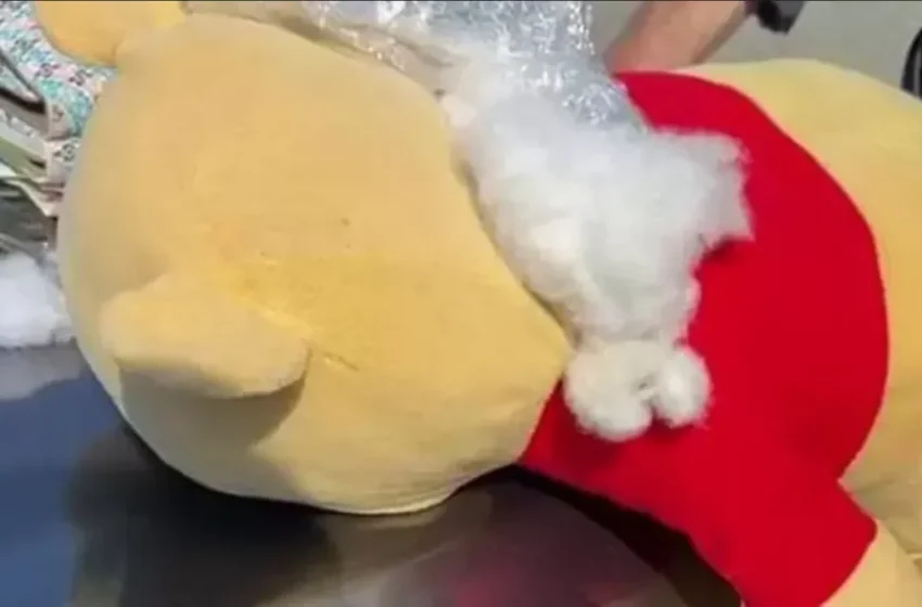  Une voyageuse camouflage 60 000 euros dans une peluche pour échapper aux douanes italianes