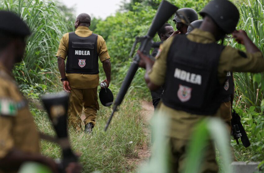  Au moins 20 tués dans des attaques de gangs armés à Zamfara, Nigeria
