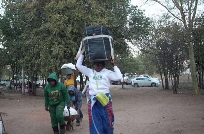  Des milliers de Zimbabwéens rapatriés après violences xénophobes en Afrique du Sud