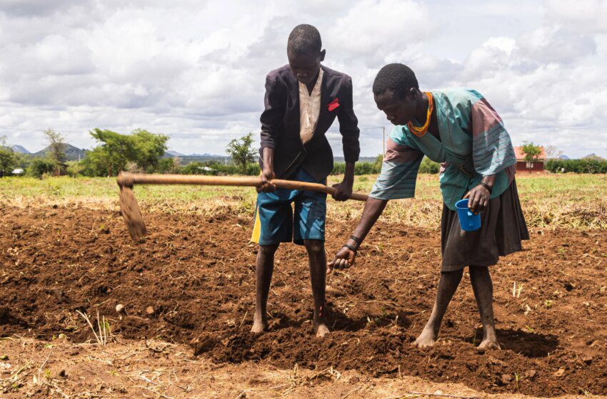  Karamoja en Ouganda au bord de la famine après une sécheresse historique