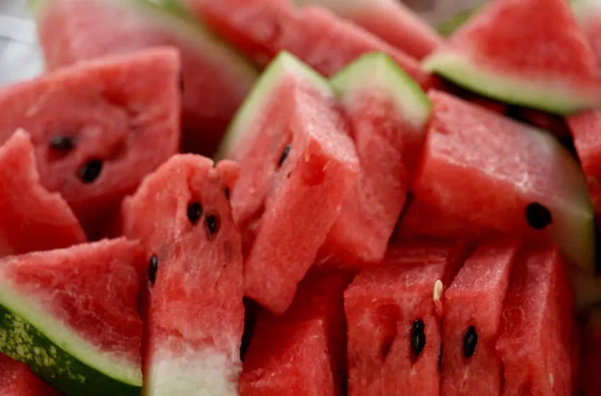  L’abondance de fruits méditerranéens met en péril les producteurs marocains en Europe