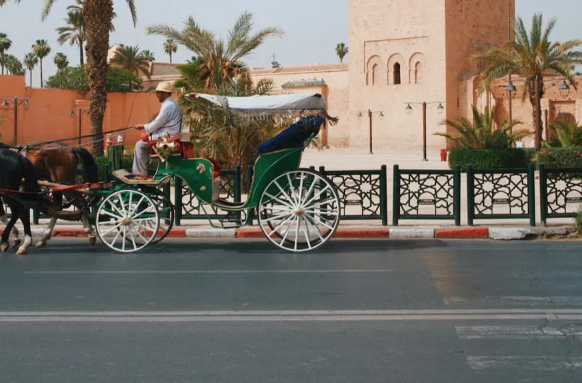  Marrakech et Agadir adoptent des revêtements poreux pour lutter contre la chaleur urbaine
