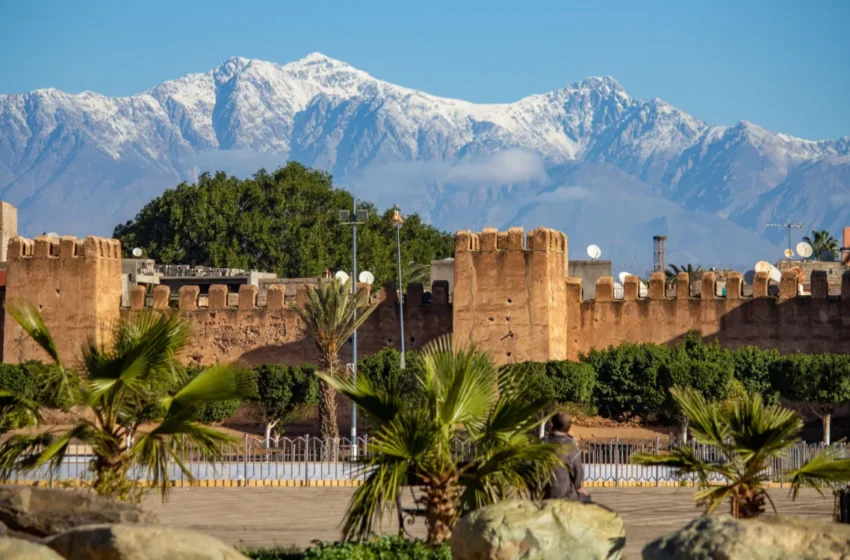  Pension de survie belge : des droits pour les Marocains vivant au Maroc
