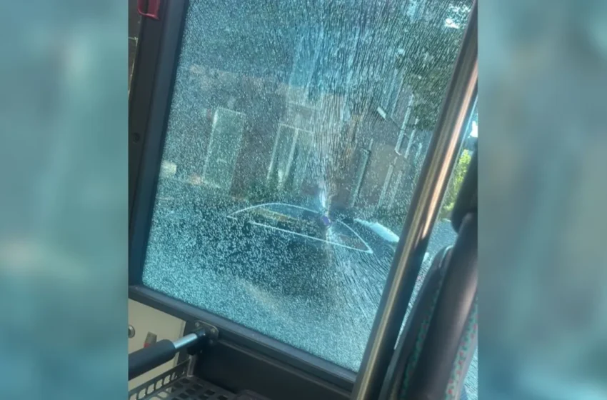 Trajet en bus menacé par une fusillade à Rotterdam : témoignage d’Hafsa Abhih