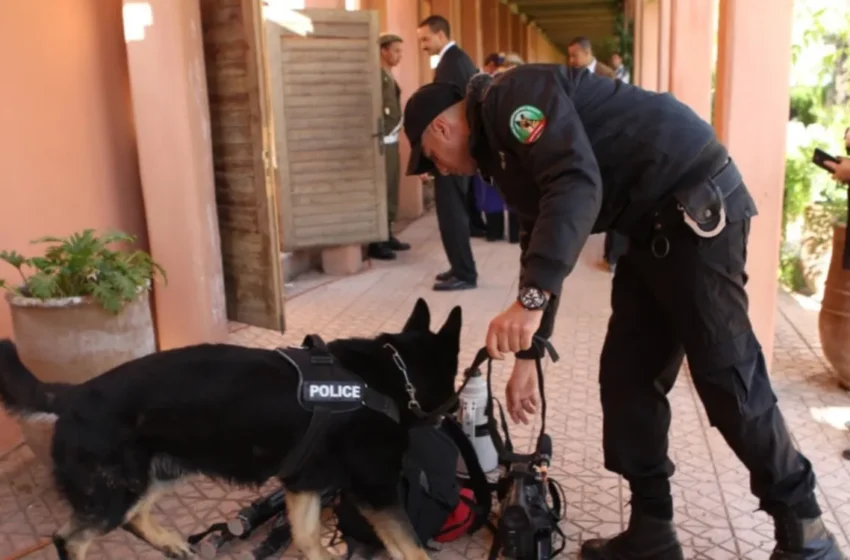  Un Français recherché pour escroquerie interpellé à Casablanca par la police judiciaire
