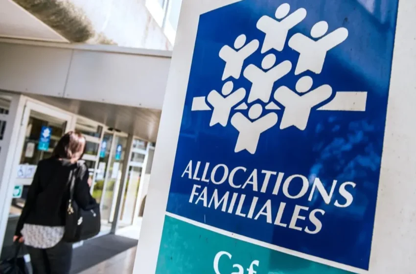  Allocation de soutien familial : Conditions et démarches pour les familles d’accueil en France
