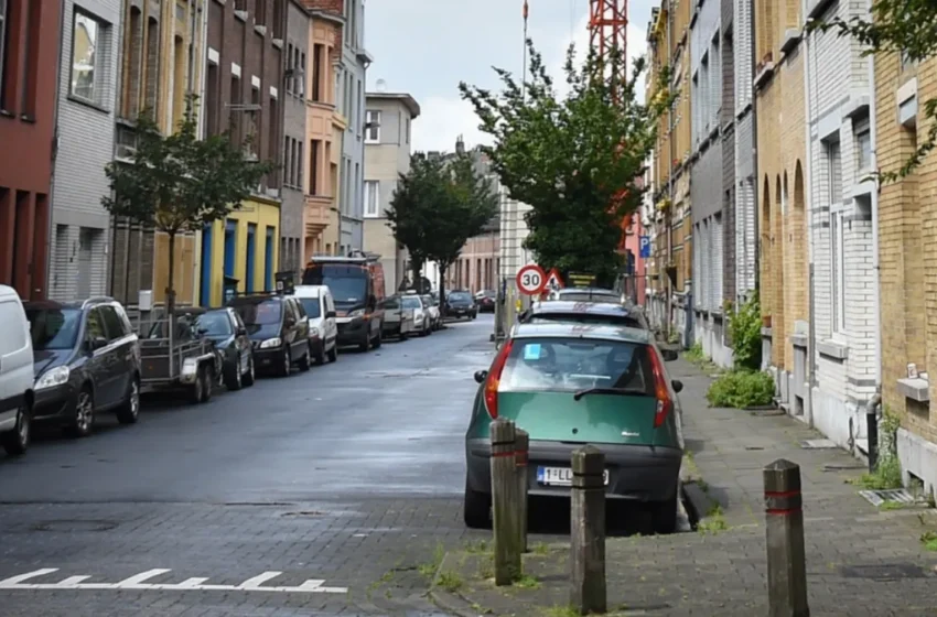  Trafic de haschich en Belgique : un magasin sous scellés après des perquisitions à Anvers
