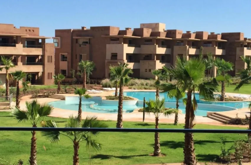  Une femme perd son recours pour l’aide Tozo en raison de sa déclaration fiscale au Maroc
