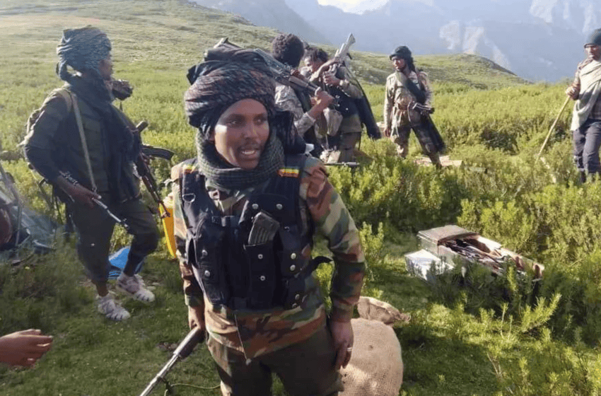  Fano affirme avoir saisi plus de 10 camions militaires de munitions en Amhara
