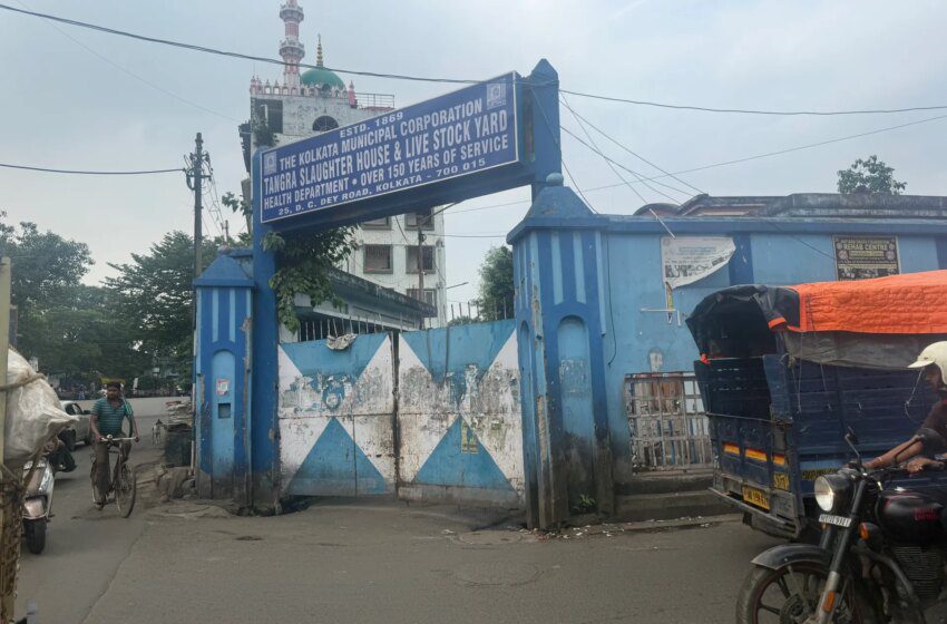  Fermeture de l’abattoir de Tangra entraîne une pénurie de bœuf à Calcutta