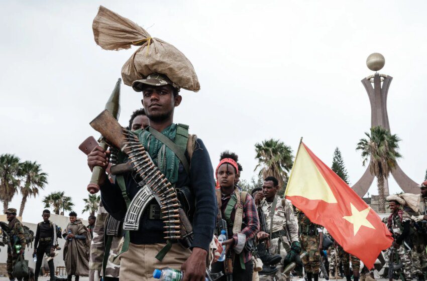  L’armée soudanaise dément soutenir le Tigré et accuse l’Éthiopie d’appuyer les RSF