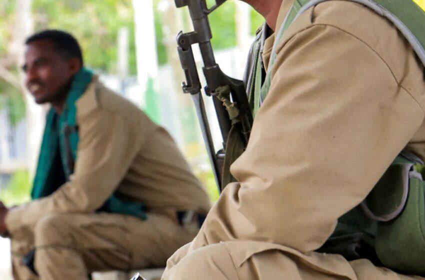  Une alliance armée en Éthiopie vise à renverser le Premier ministre Abiy Ahmed
