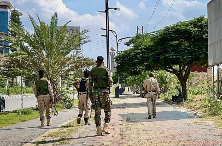  Addis-Abeba accuse l’Égypte, l’Érythrée et le Soudan de soutenir des groupes armés