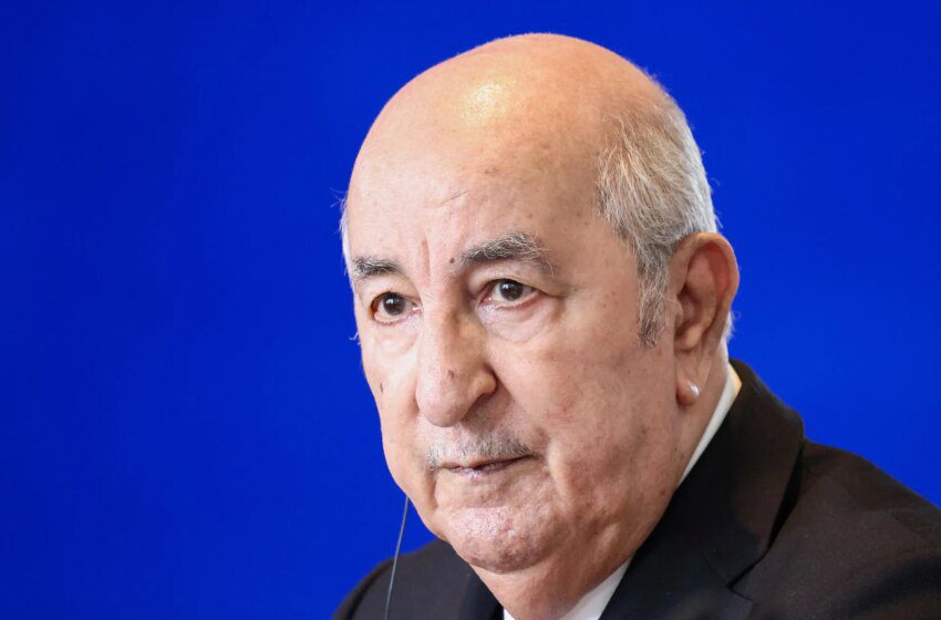  Algérie déploie des troupes au Niger pour protéger les intérêts énergétiques communs