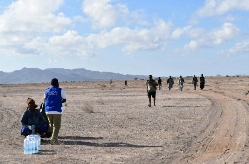  Bateau de migrants naufragé au large de Djibouti : 139 morts, 84 portés disparus