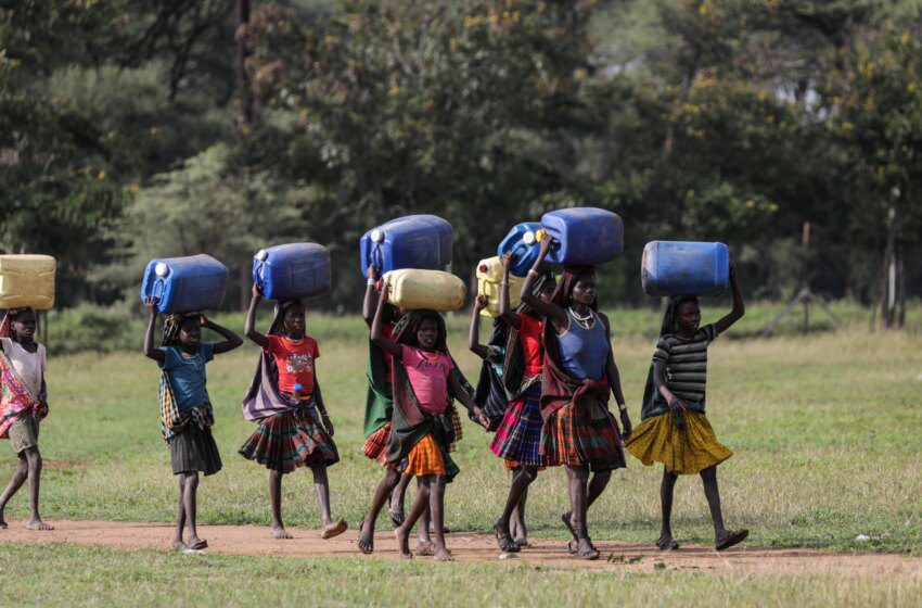  Hausse des prix des engrais et du carburant menace la sécurité alimentaire africaine