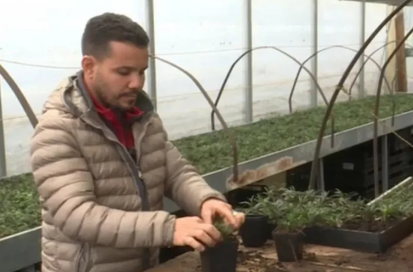  Marocain arrivé mineur en Italie devient entrepreneur en espaces verts et recrute au foyer