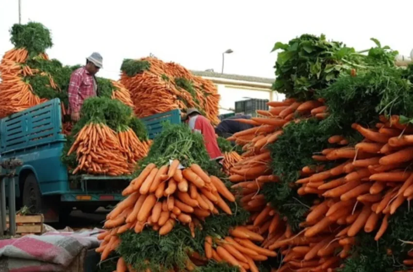  Prix des légumes jusqu’à trois fois entre marchés de gros, FIFEL réclame réformes