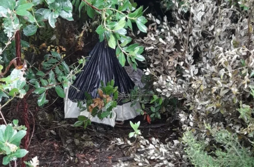  Un Marocain recherché depuis septembre 2025 retrouvé caché dans une tente en Toscane