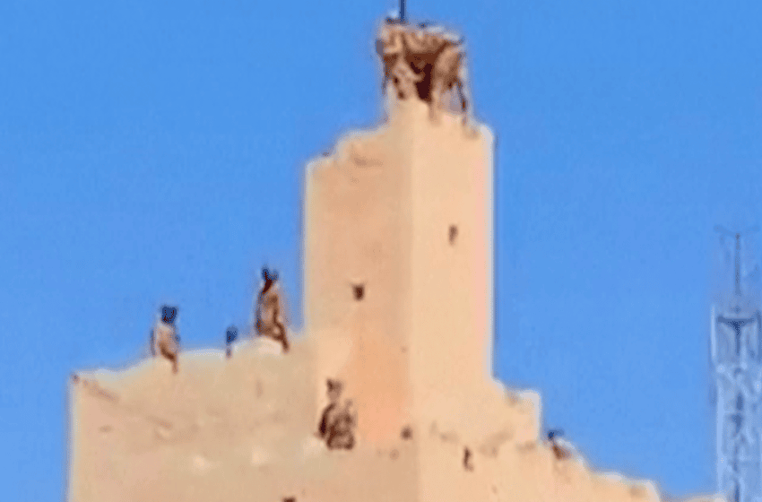  Une vidéo montre l’armée malienne reprendre Kidal aux séparatistes touaregs