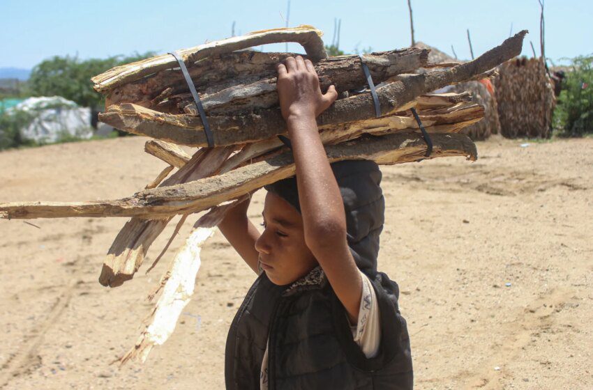  Yémen : plus de 200 000 déplacés, l’OIM alerte sur une crise humanitaire